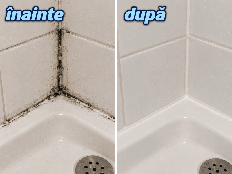 Gel Îndepărtare Mucegai Universal 90g