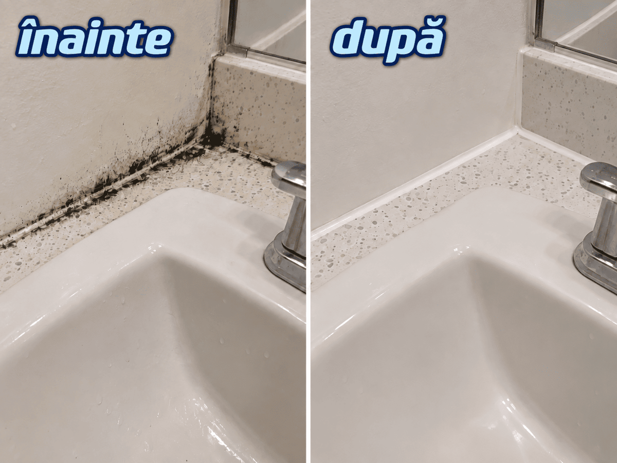 Gel Îndepărtare Mucegai Universal 90g