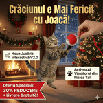 Jucărie Inteligentă Reîncărcabilă