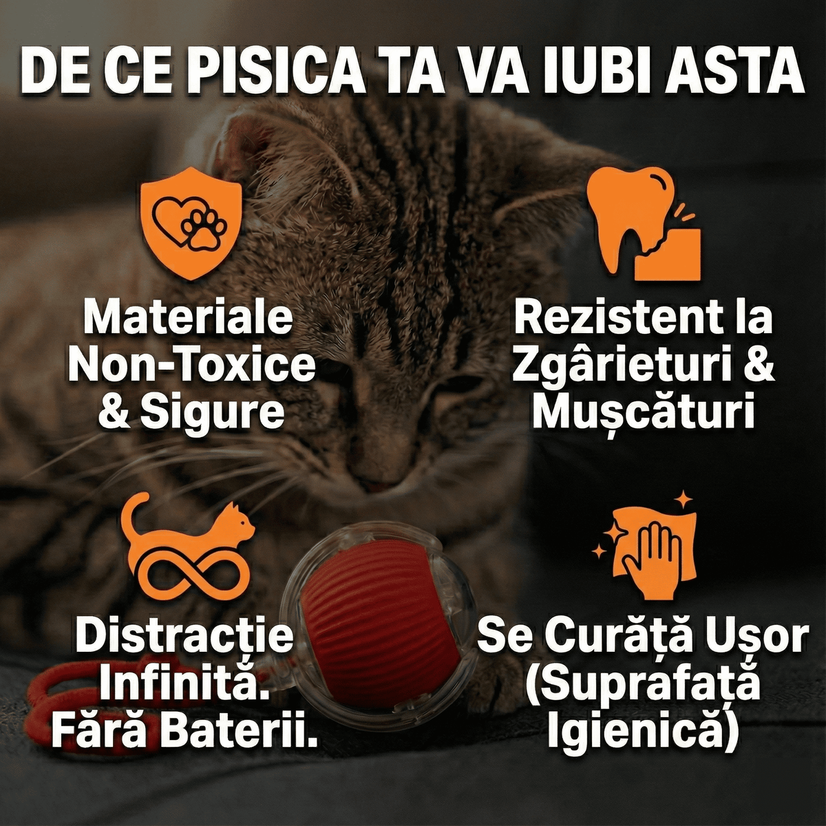 Jucărie Inteligentă Reîncărcabilă